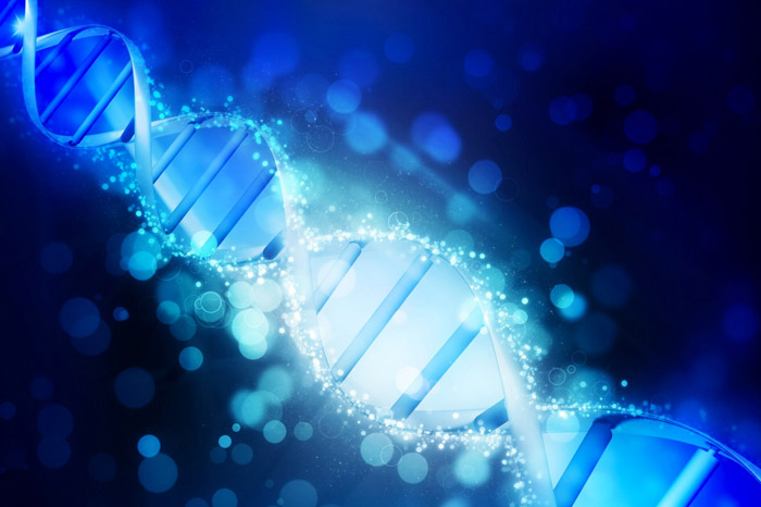 事業(yè)因人才而興，人才因事業(yè)而聚